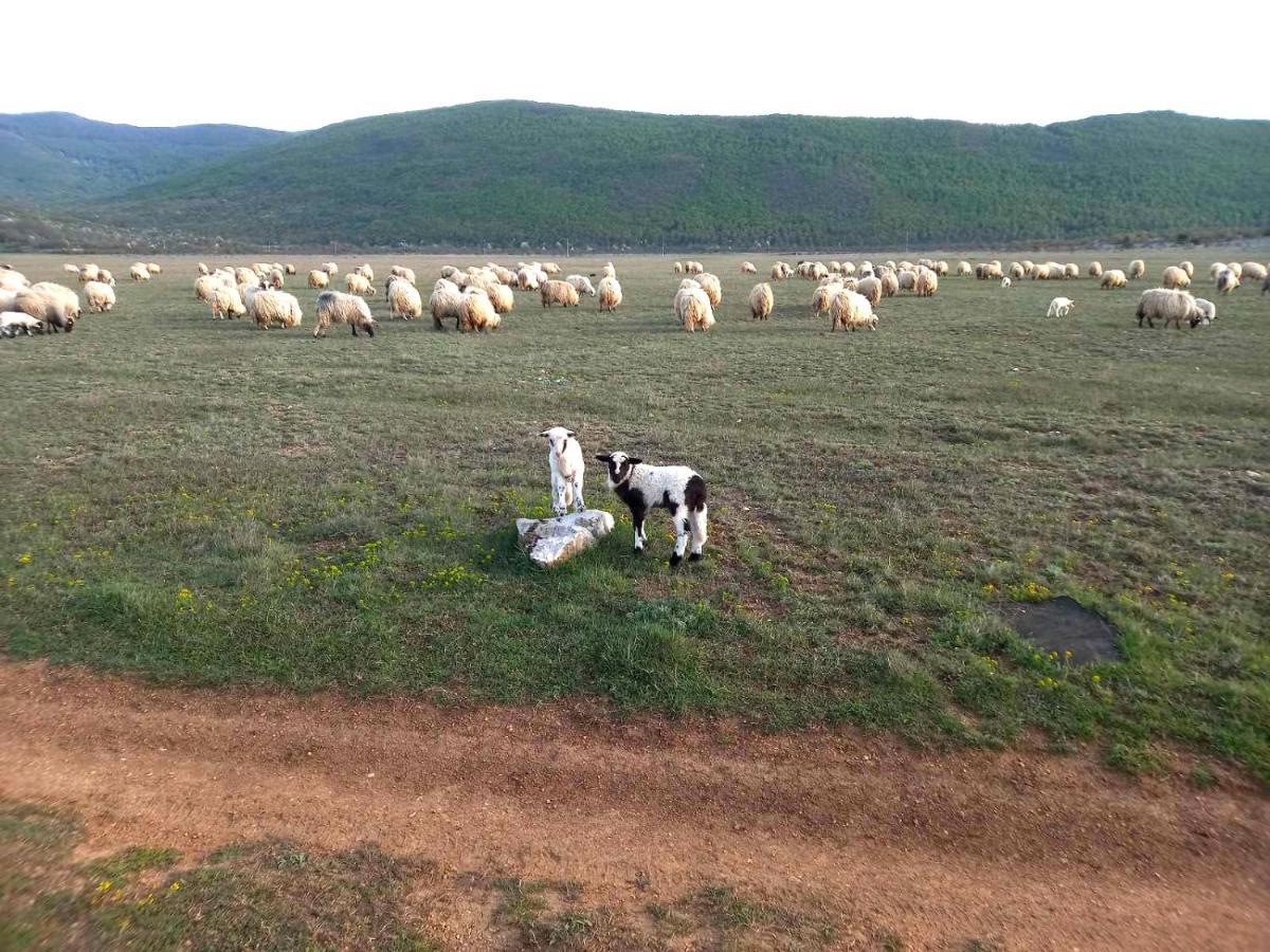 Farma & Apartmani II Opg Sasa Delic Grabusic Luaran gambar