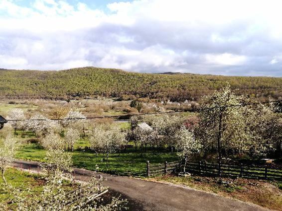 Farma & Apartmani II Opg Sasa Delic Grabusic Luaran gambar