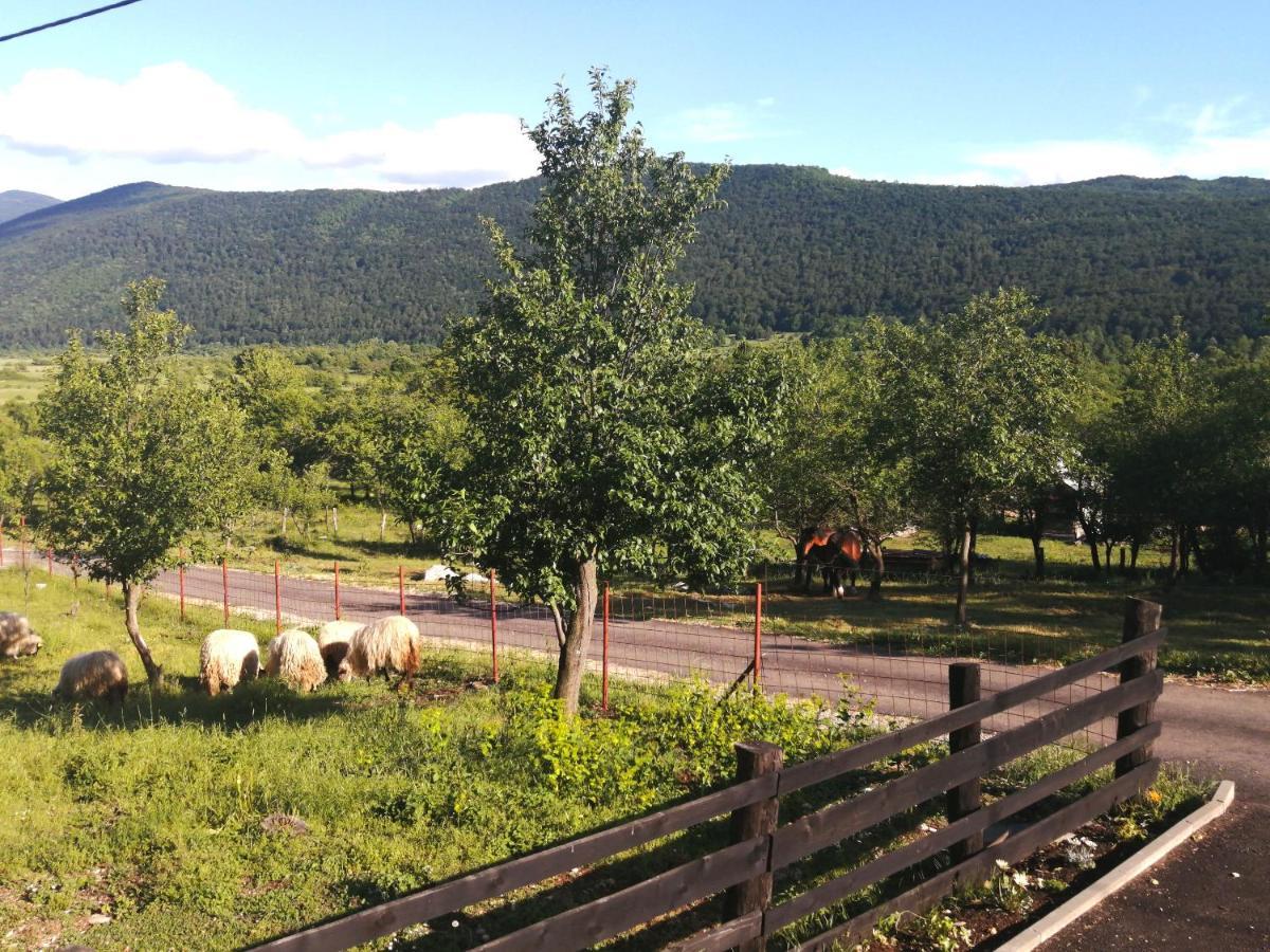 Farma & Apartmani II Opg Sasa Delic Grabusic Luaran gambar